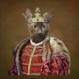 Meet your Posher, Jackie